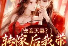 小说宠妾灭妻？转嫁后我带皇子夺王位（魏芷殊）最新章节在哪看-维C文学