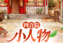 四合院：小人物许大茂免费阅读，许大茂娄晓娥大结局无弹窗-维C文学