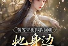 小说苦等青梅得胜回朝，她身边已配良人（陆羽李琼月）最新章节在哪看-维C文学