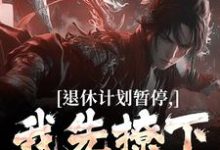 洛川最新章节退休计划暂停,我先撩下这女总免费阅读-维C文学