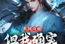 完结版系统奇葩，但我确实无敌了在哪免费看，许清风小说在线阅读-维C文学