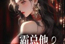 求助这本霸总他追爱火葬场后小说在哪里可以看完结版-维C文学
