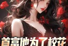 完结版首富他为了校花，为全校做贡献在哪免费看，沈译李幼衣小说在线阅读-维C文学