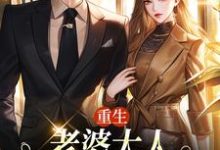 重生:老婆大人,我的钱你随便花(主角郑文栋苏迎)完结版免费阅读-维C文学