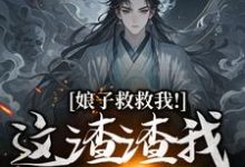 主人公是司寻的小说娘子救救我！这渣渣我虐不完免费阅读-维C文学