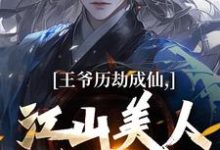 精彩章节阅读王爷历劫成仙,江山美人全在手(陆澈)免费小说在线看-维C文学