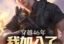 求助这本穿越46年，我加入了人民的队伍小说在哪里可以看完结版-维C文学