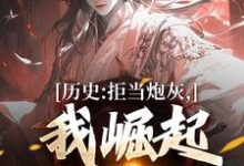 历史:拒当炮灰,我崛起收复河山精彩章节阅读(王克张煌言)免费阅读大结局-维C文学