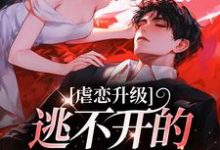 小说虐恋升级,逃不开的死亡魔咒主角温柠江挚免费阅读-维C文学