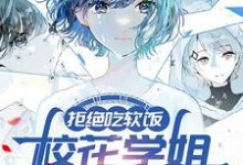 拒绝吃软饭,校花学姐气哭了无弹窗周瑾姜惜语最新章节列表-维C文学