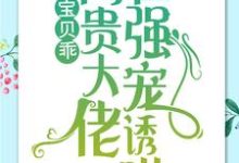 简以宁陆怀瑾最新章节列表宝贝乖:高贵大佬在强宠诱哄免费阅读-维C文学