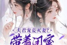 夫君宠妾灭妻?带着闺蜜一起和离在线看,上官钰林清玥小说大结局在哪免费看-维C文学
