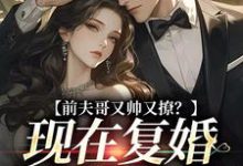 前夫哥又帅又撩？现在复婚来得及吗精彩章节在线免费阅读（安婳肖政）-维C文学