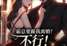 霸总要跟我离婚?不行!我身无分文(覃笙)完结版免费阅读-维C文学