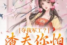 凌朝歌南宫阎在线阅读,夺我军工?渣夫你怕是没命享小说完结版章节-维C文学
