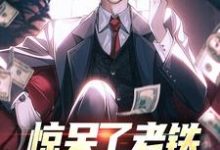 惊呆了老铁,他又被提拔了大结局,林风小说无广告阅读-维C文学