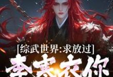 曹安李寒衣小说的结局在哪可以看,综武世界:求放过!李寒衣你别追了免费阅读完结版-维C文学