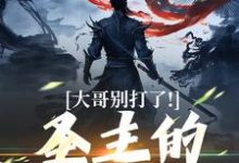 大哥别打了！圣主的心都碎了（陈寻）最新章节在线阅读-维C文学