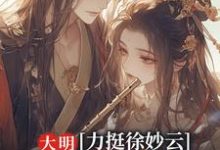 大明：力挺徐妙云，干翻朱棣在线看，黄易徐妙云小说大结局在哪免费看-维C文学