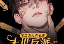 沈绵叶瑾修在线阅读,笨蛋美人重生成末世反派的男友后小说完结版章节-维C文学