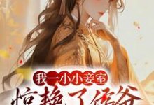 我一小小妾室,惊艳了侯爷很合理吧精彩章节在线免费阅读(叶青芷谢晋)-维C文学