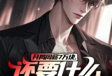 主角是李智王婷婷的小说开局周薪7万块，还要什么自行车？在哪免费看-维C文学