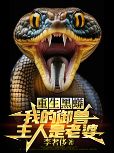 跪求主角是庆阳沈颖的小说书名叫什么