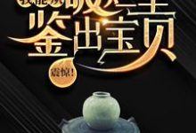 求助这本震惊!我能从破烂里鉴出宝贝!小说在哪里可以看完结版-维C文学