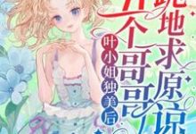 叶小姐独美后，五个哥哥跪地求原谅（叶簌簌）最新章节免费阅读-维C文学