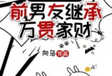 小说前脚分，后脚前男友继承万贯家财（时幼微黎簇浪）最新章节在哪看-维C文学