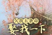 欠我五条命,娶我一下怎么了?精彩章节在线免费阅读(玉沁宋祁)-维C文学