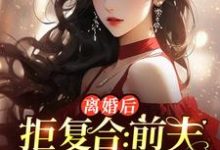 沈寒星最新章节列表离婚后拒复合:前夫儿子悔断肠免费阅读-维C文学