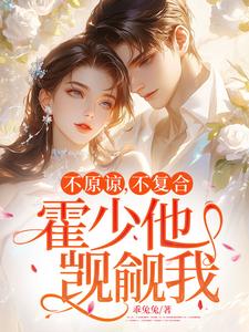 精彩章节阅读不原谅，不复合，霍少他觊觎我(苏眠)免费小说在线看