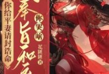 你给平妻请封诰命,我奉旨和离你哭啥?精彩章节阅读(陆知苒)免费阅读大结局-维C文学