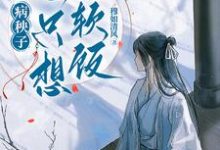 江叙白安织桐小说免费阅读最新章节列表,病秧子一心只想吃软饭小说在线看-维C文学