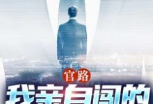 官路:我亲自闯的谁敢拦完结版陆一鸣唐晓婉免费阅读大结局-维C文学