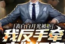 表白白月光被拒,我反手牵走她闺蜜无弹窗周恒尹梦冉最新章节列表-维C文学