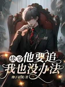 求助这本快穿：他要追！我也没办法小说在哪里可以看完结版