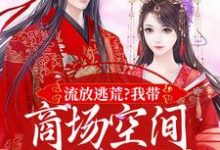 流放逃荒?我带商场空间活的舒服嘞(林书棠段砚洲)最新章节免费在线阅读-维C文学