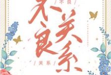 不良关系大结局,桑胤衡南枫小说无广告阅读-维C文学