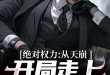 徐子杰宁傲雪在线阅读,绝对权力:从天崩开局走上官途巅峰小说完结版章节-维C文学