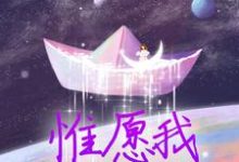 惟愿我不曾深爱无弹窗夏墨傅哲最新章节列表-维C文学