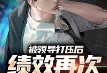 孙平安林若薇小说免费阅读最新章节列表，被领导打压后，绩效再次被清零！小说在线看-维C文学