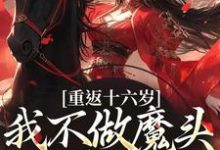 主人公是晏琅的小说重返十六岁,我不做魔头改修仙了免费阅读-维C文学