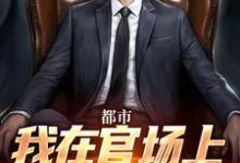 都市：我在官场上逆袭人生免费阅读(徐天来)小说免费读最新章节-维C文学