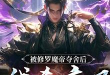 小说被修罗魔帝夺舍后,我杀疯了(宋萧然)最新章节在哪看-维C文学