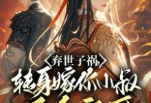 完结版弃世子祸，转身嫁你小叔万千宠爱在哪免费看，慕容羽汐白若轩小说在线阅读-维C文学