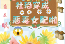 坏了，社恐穿成恶毒女配啦在线看，祝水音季序周小说大结局在哪免费看-维C文学