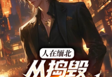 小说人在缅北，从捣毁科技园开始主角韩潇免费阅读-维C文学