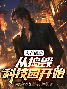 小说人在缅北，从捣毁科技园开始主角韩潇免费阅读